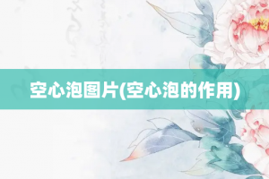 空心泡图片(空心泡的作用)