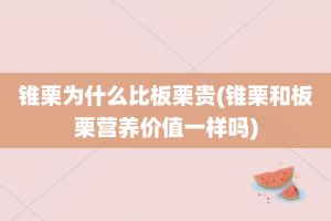 锥栗为什么比板栗贵(锥栗和板栗营养价值一样吗)