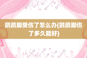 鹦鹉脚受伤了怎么办(鹦鹉脚伤了多久能好)