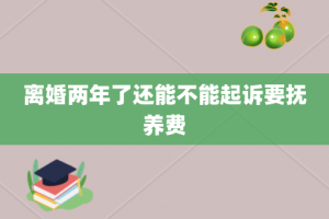 离婚两年了还能不能起诉要抚养费