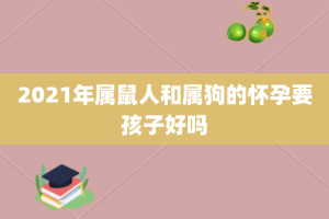 2021年属鼠人和属狗的怀孕要孩子好吗