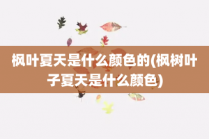 枫叶夏天是什么颜色的(枫树叶子夏天是什么颜色)