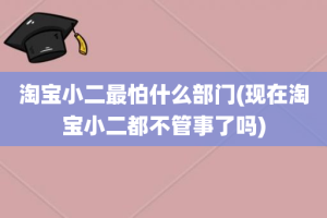 淘宝小二最怕什么部门(现在淘宝小二都不管事了吗)