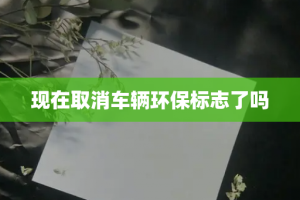 现在取消车辆环保标志了吗