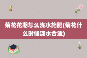菊花花期怎么浇水施肥(菊花什么时候浇水合适)