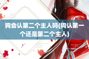 狗会认第二个主人吗(狗认第一个还是第二个主人)