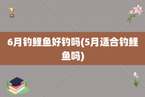 6月钓鲤鱼好钓吗(5月适合钓鲤鱼吗)