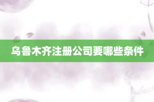 乌鲁木齐注册公司要哪些条件