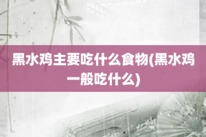 黑水鸡主要吃什么食物(黑水鸡一般吃什么)