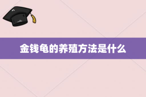 金钱龟的养殖方法是什么