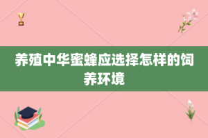 养殖中华蜜蜂应选择怎样的饲养环境