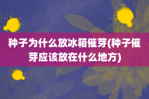 种子为什么放冰箱催芽(种子催芽应该放在什么地方)