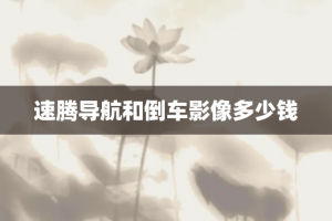 速腾导航和倒车影像多少钱