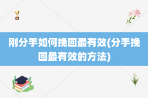 刚分手如何挽回最有效(分手挽回最有效的方法)