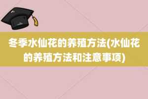 冬季水仙花的养殖方法(水仙花的养殖方法和注意事项)