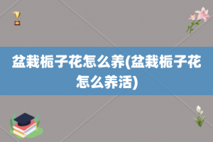 盆栽栀子花怎么养(盆栽栀子花怎么养活)