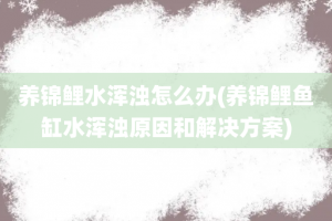 养锦鲤水浑浊怎么办(养锦鲤鱼缸水浑浊原因和解决方案)