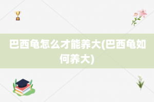 巴西龟怎么才能养大(巴西龟如何养大)