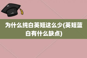 为什么纯白英短这么少(英短蓝白有什么缺点)