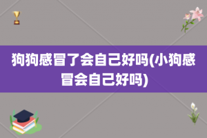 狗狗感冒了会自己好吗(小狗感冒会自己好吗)