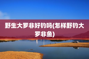 野生大罗非好钓吗(怎样野钓大罗非鱼)