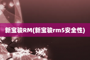 新宝骏RM(新宝骏rm5安全性)