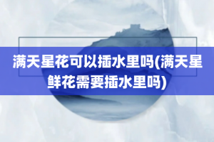 满天星花可以插水里吗(满天星鲜花需要插水里吗)