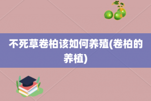 不死草卷柏该如何养殖(卷柏的养植)