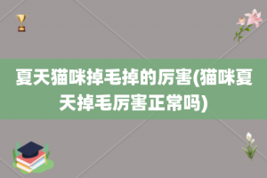 夏天猫咪掉毛掉的厉害(猫咪夏天掉毛厉害正常吗)