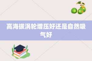 高海拔涡轮增压好还是自然吸气好