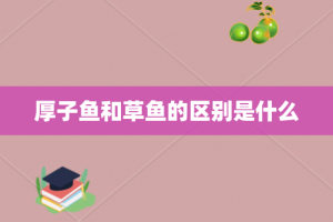 厚子鱼和草鱼的区别是什么