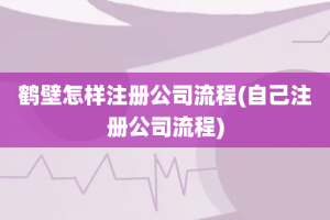 鹤壁怎样注册公司流程(自己注册公司流程)