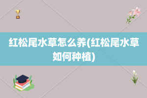 红松尾水草怎么养(红松尾水草如何种植)