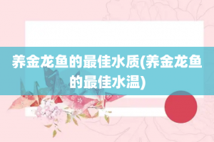 养金龙鱼的最佳水质(养金龙鱼的最佳水温)