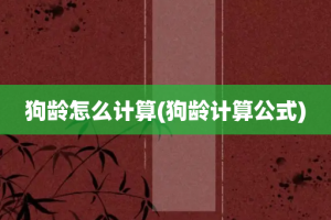 狗龄怎么计算(狗龄计算公式)