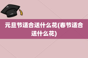 元旦节适合送什么花(春节适合送什么花)