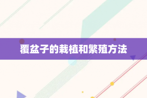 覆盆子的栽植和繁殖方法