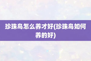 珍珠鸟怎么养才好(珍珠鸟如何养的好)