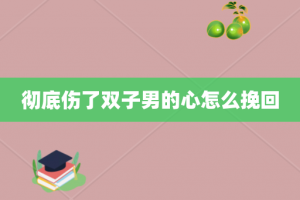 彻底伤了双子男的心怎么挽回