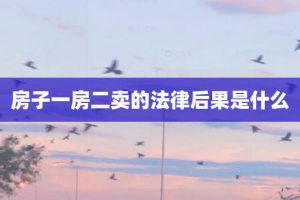 房子一房二卖的法律后果是什么