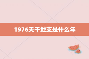 1976天干地支是什么年