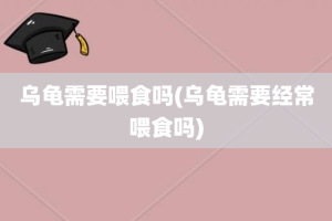 乌龟需要喂食吗(乌龟需要经常喂食吗)