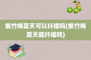 紫竹梅夏天可以扦插吗(紫竹梅夏天能扦插吗)