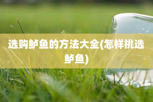 选购鲈鱼的方法大全(怎样挑选鲈鱼)