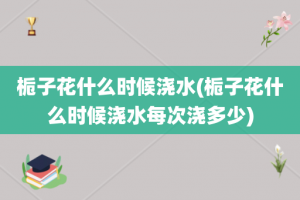 栀子花什么时候浇水(栀子花什么时候浇水每次浇多少)