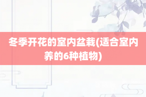 冬季开花的室内盆栽(适合室内养的6种植物)