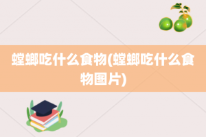 螳螂吃什么食物(螳螂吃什么食物图片)