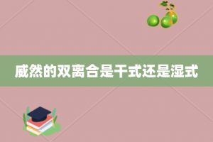 威然的双离合是干式还是湿式