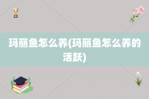 玛丽鱼怎么养(玛丽鱼怎么养的活跃)