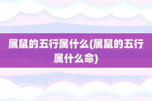 属鼠的五行属什么(属鼠的五行属什么命)